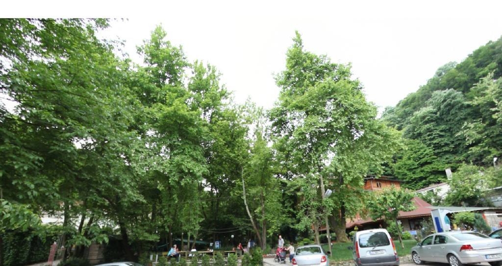 Yazicilar Hotel Masukiye Extérieur photo